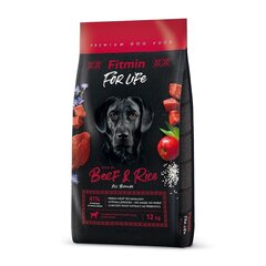 Фитмин для собак For Life Beef &amp; Rice 12кг цена и информация | Сухой корм для собак | kaup24.ee