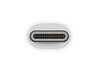 Apple USB-C to USB adapter - MJ1M2ZM/A цена и информация | USB jagajad, adapterid | kaup24.ee