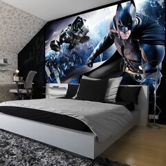 Fototapeet Batman цена и информация | Фотообои | kaup24.ee