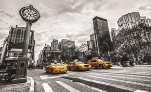 Fototapeet NY Taxi цена и информация | Фотообои | kaup24.ee