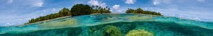 Самоклеящиеся фотообои (с ламинацией) - Коралловый риф, 350x60 см цена и информация | Фотообои | kaup24.ee