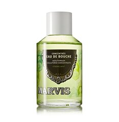 Средство для полоскание рта Marvis Strong Mint 120 мл цена и информация | Для ухода за зубами | kaup24.ee