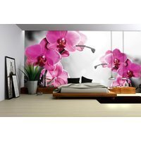 Orchid Pink цена и информация | Фотообои | kaup24.ee