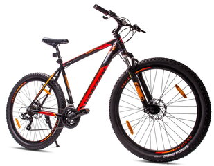 29" Meeste jalgratas MTB Mägijalgratas jalgratas Shimano 7 käiguga Tatra Bikes Horizon must hind ja info | Jalgrattad | kaup24.ee