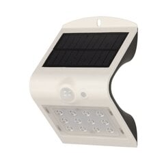 Садовый светильник SILOE LED Solar с датчиком движения цена и информация | Уличное освещение | kaup24.ee