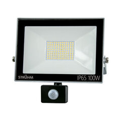 Серый 4500k светодиодный прожектор smd с датчиком движения STRÜHM kroma led s 100w, 247 x 269 x 64 мм цена и информация | Уличное освещение | kaup24.ee