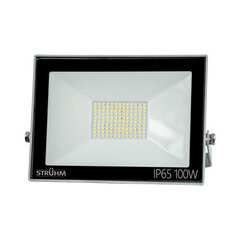 Серый 6500k светодиодный прожектор smd STRÜHM kroma led 100w, 215 x 269 x 32 мм цена и информация | Уличное освещение | kaup24.ee