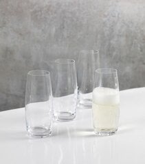 Mikasa Julie Stemless Flute Klaaside Komplekt - 4tk hind ja info | Muu köögitehnika | kaup24.ee