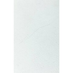 Grosfillex seinakatteplaat "Gx Wall+", 11 tk, kivi, 30 x 60 cm, valge hind ja info | Lae-, seinakaunistus elemendid | kaup24.ee