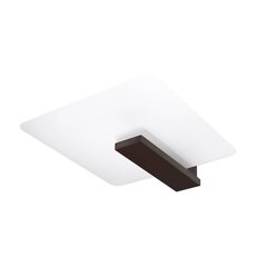 Plafond LAPPO wenge PEACH PUFF SL.1097 цена и информация | Потолочные светильники | kaup24.ee