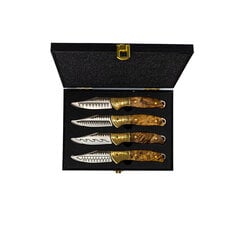 Homey&apos;s Steak Knives - Set 4pcs. | by Schiffmacher цена и информация | Кастрюли, скороварки | kaup24.ee