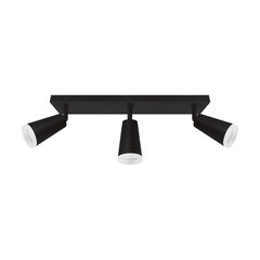 Черный настенно-потолочный светильник STRÜHM, 165x600x75 мм цена и информация | Потолочные светильники | kaup24.ee