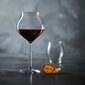 Veiniklaas 400ml Macaron Fascination hind ja info | Klaasid, tassid ja kannud | kaup24.ee