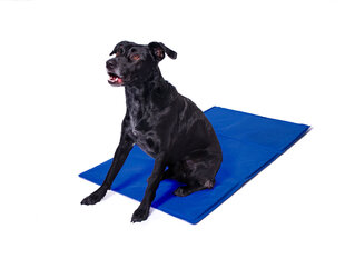 Cooling mat for animals blue 50x90cm цена и информация | Лежаки, домики | kaup24.ee