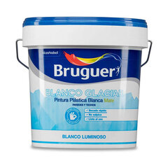Värv Bruguer 5208049 Valge 4 L hind ja info | Värvid | kaup24.ee