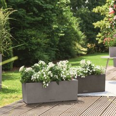 LECHUZA taimekast „BALCONERA Stone 50 ALL-IN-ONE” hall hind ja info | Lillekastid | kaup24.ee