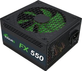 Evolveo FX 550 цена и информация | Материнские платы (PSU) | kaup24.ee