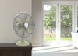 Ventilaator Swan RETRO SFA12620GN цена и информация | Ventilaatorid | kaup24.ee