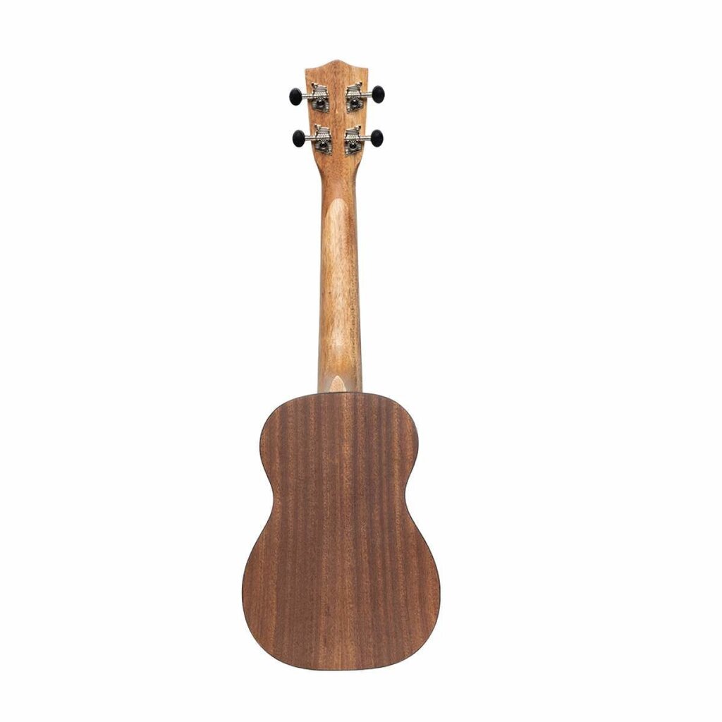 Kontsert-ukulele Stagg UC-TIKI MENA hind ja info | Kitarrid | kaup24.ee