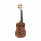 Kontsert-ukulele Stagg UC-TIKI MENA hind ja info | Kitarrid | kaup24.ee