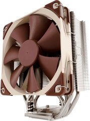 Noctua CPNA-057 цена и информация | Кулеры для процессоров | kaup24.ee