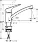 Hansgrohe Logis köögisegisti 71830000 цена и информация | Köögisegistid | kaup24.ee