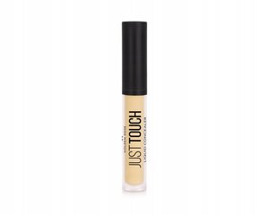 Golden Rose Liquid Face Concealer Just Touch 2 hind ja info | Jumestuskreemid, puudrid | kaup24.ee