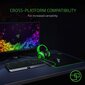 Razer Kraken, green цена и информация | Kõrvaklapid | kaup24.ee