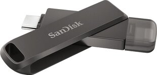 SanDisk SDIX70N-256G-GN6NE цена и информация | USB накопители | kaup24.ee