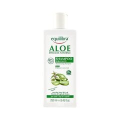 Увлажняющий шампунь для волос Equilibra Aloe 250 мл цена и информация | Шампуни | kaup24.ee