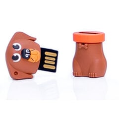 Tech One Tech TEC5134 32 ГБ цена и информация | USB накопители | kaup24.ee