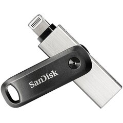 SanDisk SDIX70N-256G-GN6NE цена и информация | USB накопители | kaup24.ee