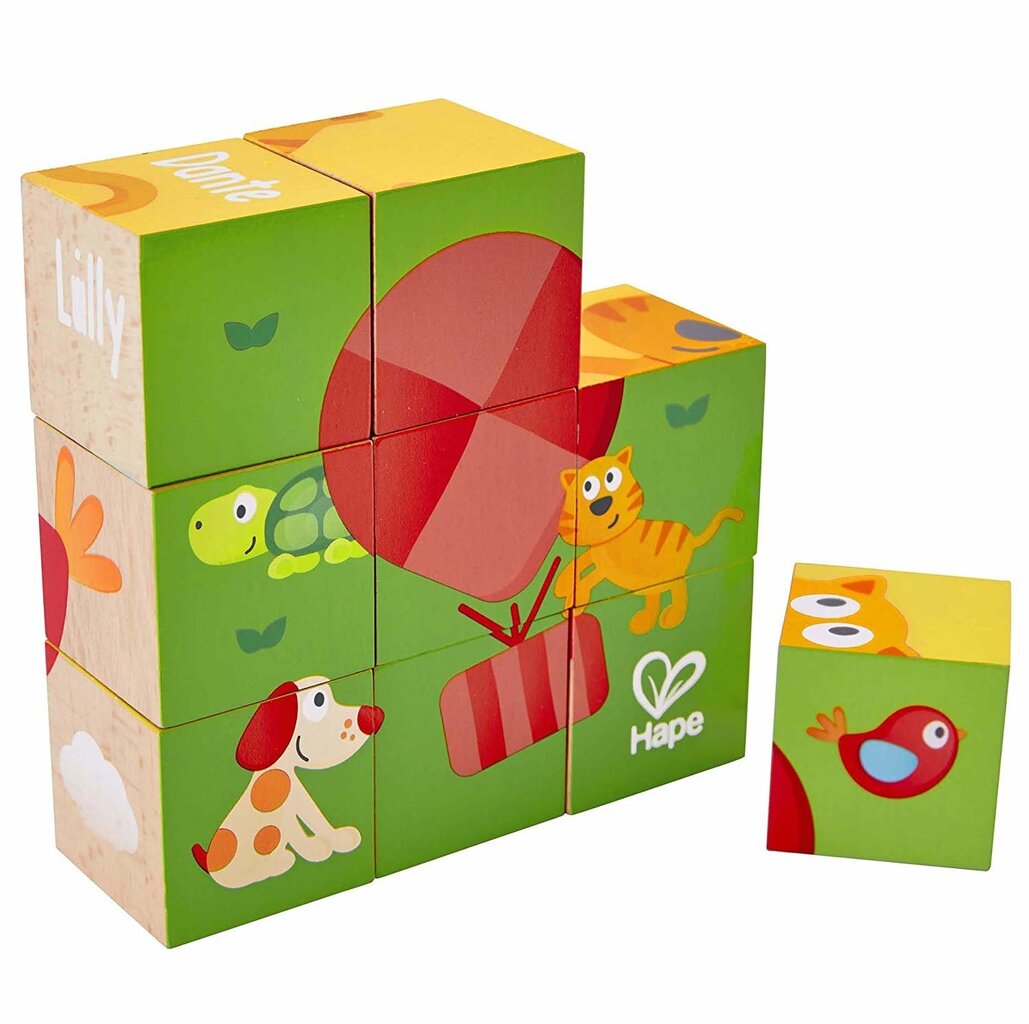 Puidust klotsid-pusle Pepe ja sõbrad Hape, E0452A цена и информация | Imikute mänguasjad | kaup24.ee