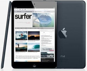 Apple iPad 32GB WIFI (Класс A (Очень хорошее состояние, использованный)) цена и информация | Планшеты | kaup24.ee