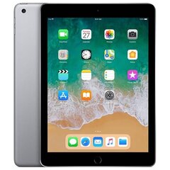 Apple iPad Mini 2 16GB WiFi + Cellular (Класс A (Очень хорошее состояние, использованный)) цена и информация | Планшеты | kaup24.ee