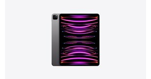 Apple iPad Pro 12.9" (2022) 128GB WiFi (Класс A+ (Идеальное состояние, использованный)) цена и информация | Планшеты | kaup24.ee