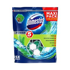 Domestos WC puhastusvahend - värskendaja Power Maxi, 5x55g hind ja info | Puhastusvahendid | kaup24.ee