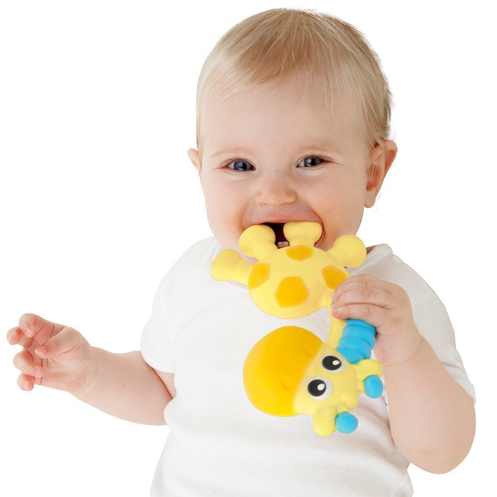 Kriuksuv närimislelu Playgo, 0186970 цена и информация | Imikute mänguasjad | kaup24.ee