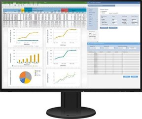 Eizo EV2457-BK, 24" цена и информация | Мониторы | kaup24.ee