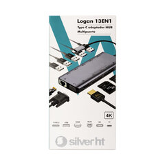 USB-разветвитель Silver HT LOGAN 13 EN 1 цена и информация | Адаптеры и USB-hub | kaup24.ee