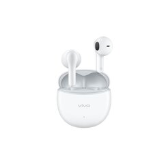 Беспроводные наушники Vivo TWS Air2 14.2MM Type-C 30h Bluetooth5.3 IPX4 цена и информация | Наушники | kaup24.ee