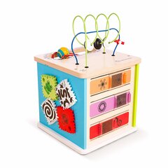 Деревянный развивающий куб Hape, 800808 цена и информация | Игрушки для малышей | kaup24.ee