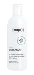 Ziaja Med, Niisutav šampoon pehmeks juusteks ja tundlikule peanahale, 300 ml - Pikk aegumiskuupäev! hind ja info | Šampoonid | kaup24.ee