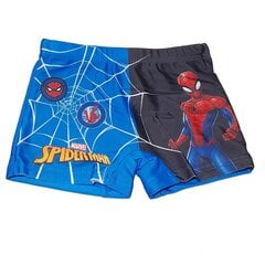 Детские плавки Spiderman цена и информация | Плавки для мальчиков | kaup24.ee