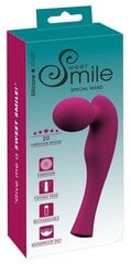 Vibraator Sweet Smile Special Wand, lilla hind ja info | Vibraatorid | kaup24.ee