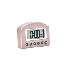 Taylor Pro Kitchen Scales, Timer &amp; Thermometer Set Silver цена и информация | Особенные приборы для приготовления пищи | kaup24.ee