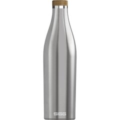 Sigg joogipudel Meridian hõbedane 0,7L hind ja info | Joogipudelid | kaup24.ee