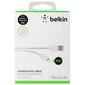 Belkin F8J023bt04-WHT, USB-Lightning, 1.2 m hind ja info | Mobiiltelefonide kaablid | kaup24.ee