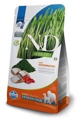 Farmina N&D Spirulina Adult Med/Maxi, с сельдью, 2 кг цена и информация | Сухой корм для собак | kaup24.ee