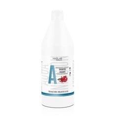 SALERM HAIRLAB Juukseshampoon POMEGRANATE HYDRATION - 1200ml + PUMP !!!! hind ja info | Šampoonid | kaup24.ee